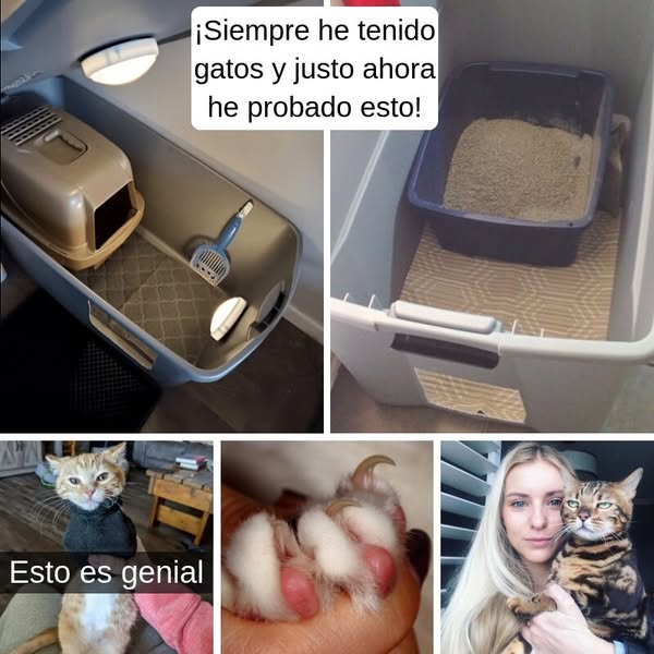 Más de 35 consejos que pueden ayudar a cualquier dueño de un gato