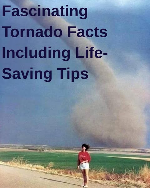 Incredible Things That Can Happen During A Tornado